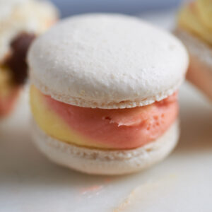 Neopolitan Macaron Neopolitan Macaron